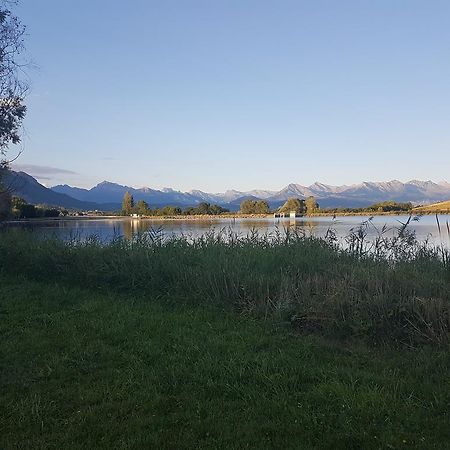 Camping La Motte Flottante Ла-Фрессинуз Экстерьер фото